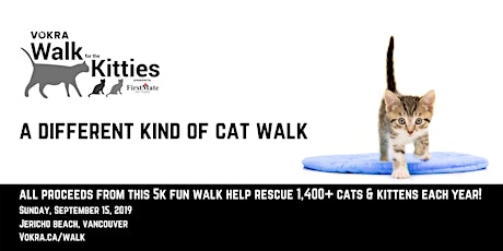 VOKRA Walk for the Kitties 2019 primary image