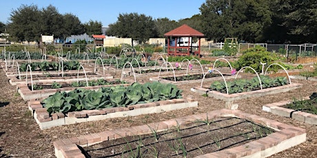 Garden Volunteer Workday