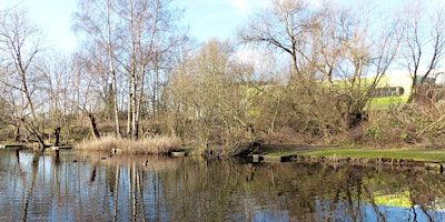 Immagine principale di Wildlife Wellbeing Walk, Beeston Sidings Nature Reserve 