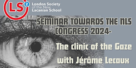 Seminar on the Gaze with Jerome Lecaux primary image