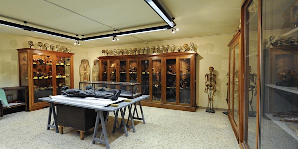 Visita Guidata al Museo di Anatomia Umana
