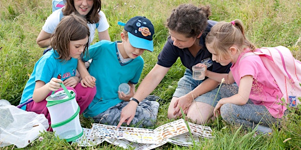 iSpy Wildlife Walk - Old Chalk New Downs