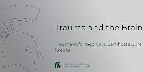 Trauma and the Brain