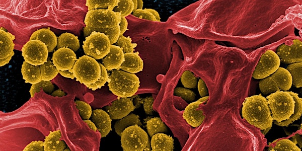 3rd Annual Texas Medical Center Antimicrobial Resistance and Stewardship Conference