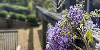 Blossoming at Bermingham primary image