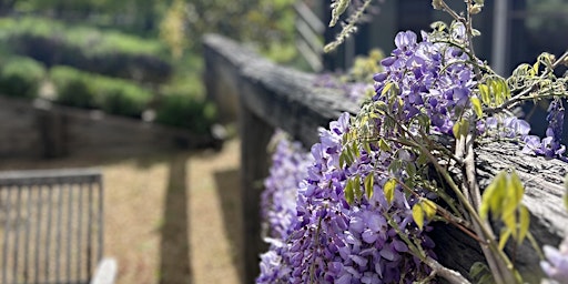 Hauptbild für Blossoming at Bermingham