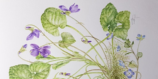 Imagen principal de Spring Botanical Painting Workshop