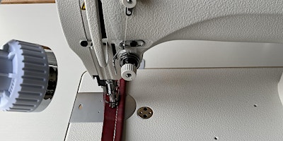 Immagine principale di Walking Foot Vertical Axis Hook Sewing Machine Repair Course L1 and 2 