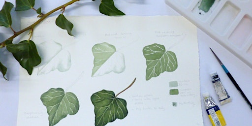 Botanical Art with Alison Walker primary image