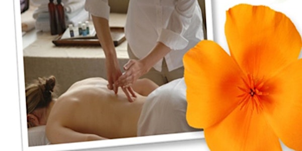 Raindrop Technique Certification Class & 14 CEs for Nurses Geneva NY