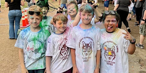 Primaire afbeelding van Timber Ridge Color Run