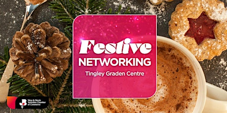 Festive Networking primary image
