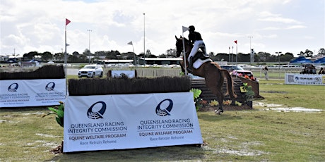 QRIC Racing Animal Welfare Grants Program Q&A primary image