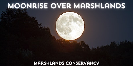 Primaire afbeelding van Moonrise Over Marshlands