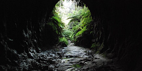 Newnes & Glowworm Tunnel Adventure Ride primary image