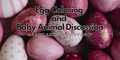 Egg Coloring and Baby Animal Discussion primary image