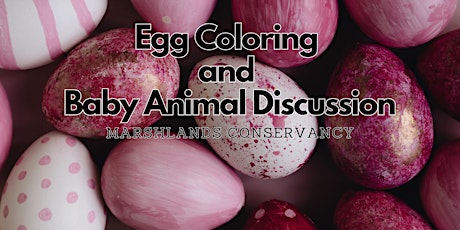 Egg Coloring and Baby Animal Discussion primary image