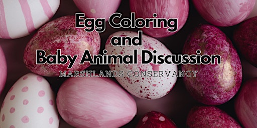 Imagem principal do evento Egg Coloring and Baby Animal Discussion