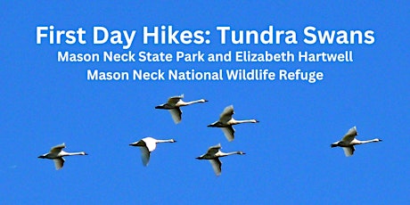 Imagen principal de First Day Hike: Tundra Swans