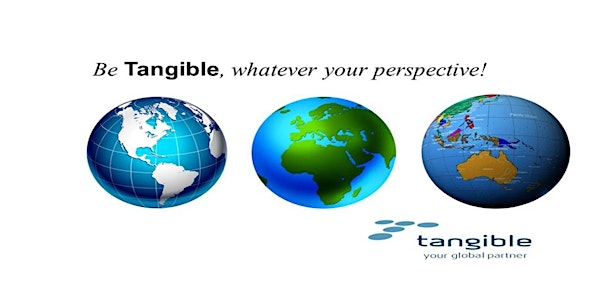 Tangible Ireland's Ambassador Summer School 2019