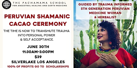 Shamanic Cacao Ceremony- (co-ed) primary image