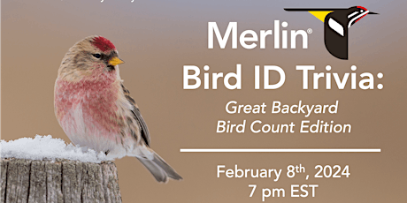 Imagen principal de Zoom: Merlin Bird ID Trivia: Backyard Bird Count Edition