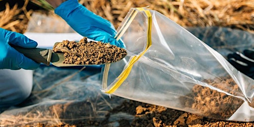 Image principale de Understanding & Addressing Soil Contamination (online)