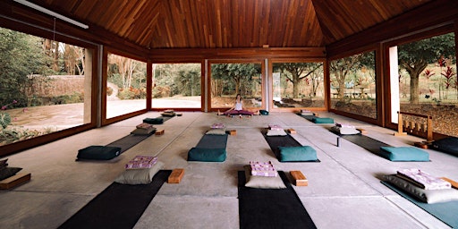 Primaire afbeelding van 7 Day Meditation and Yoga Retreat in the Amazon Jungle in Moyobamba