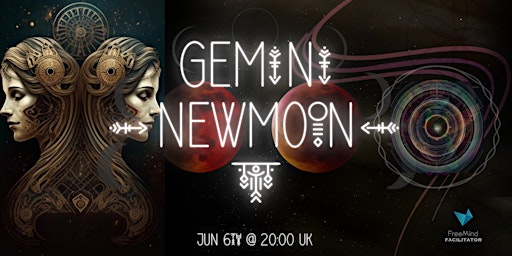 Gemini - New Moon Medicine primary image