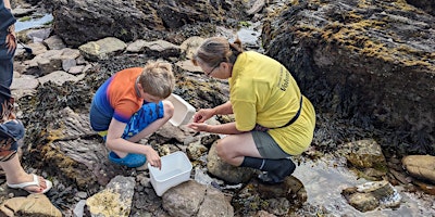 Primaire afbeelding van Rockpool Safari