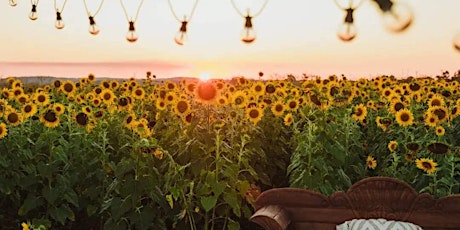 Sunflowers, Sunset & Cocktails