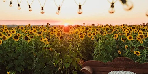 Sunflowers, Sunset & Cocktails primary image