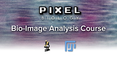 Hauptbild für Image Analysis course with Fiji/ImageJ