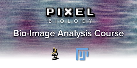Image Analysis course with Fiji/ImageJ