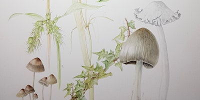 Hauptbild für Autumn Botanical Painting Workshop