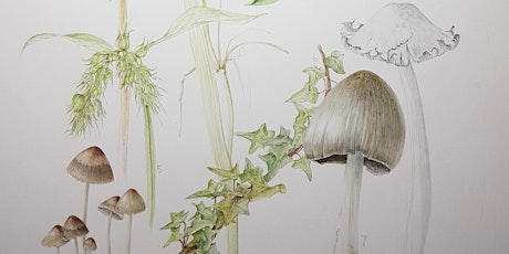 Autumn Botanical Painting Workshop