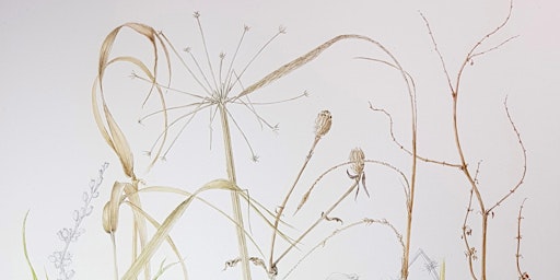 Immagine principale di Winter Botanical Painting Workshop 