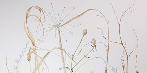 Winter Botanical Painting Workshop primary image