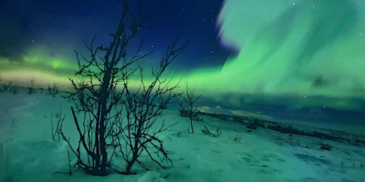 Imagem principal do evento Áróra ~ A Northern Lights  Journey