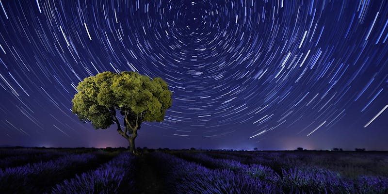 Consejos de Fotografia Campos de Lavanda Brihuega Alcarria ✈️ Forum Castilla la Mancha