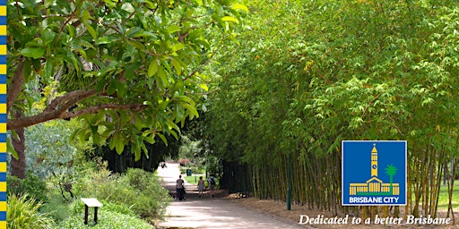 A walk back to Gondwana - Special Walk - City Botanic Gardens  primärbild