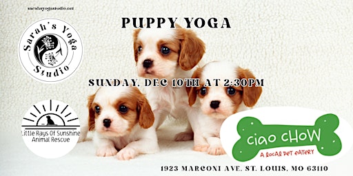 Puppy Yoga at Ciao Chow primary image