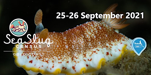 Hauptbild für Sea Slug Survey (adult 16+)