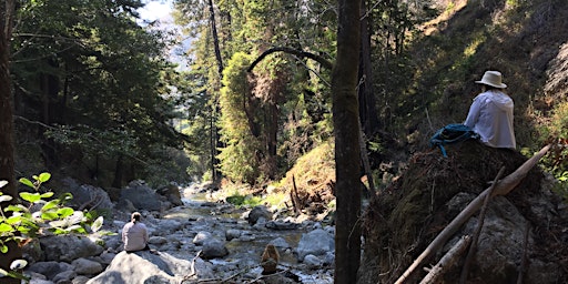 Imagem principal do evento Sacred Paths: Nature, Beauty and Gratitude-A Guided Hiking Retreat