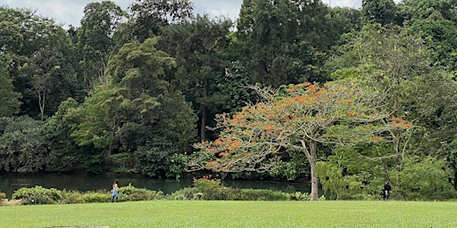 Meditations in the Park primary image