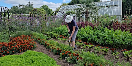 Organic demonstration garden tour