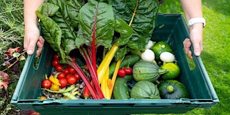 Organic demonstration garden tour