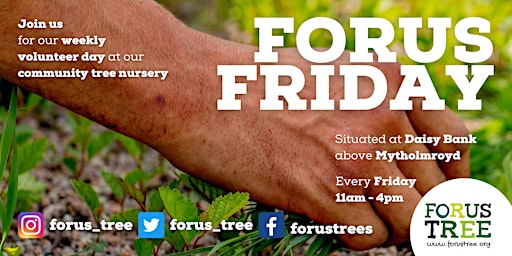 Imagem principal do evento Forus Friday - Community Tree Nursery Gathering