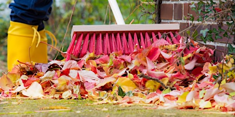 Mein Garten: Herbstschnitt - aber wie?