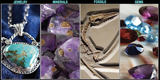 Imagem principal do evento Honolulu  Mineral, Fossil, Gem & Jewelry Show